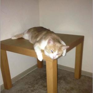 Solstice (Instrumental Demo)