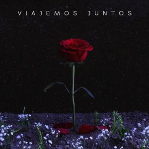 Viajemos Juntos