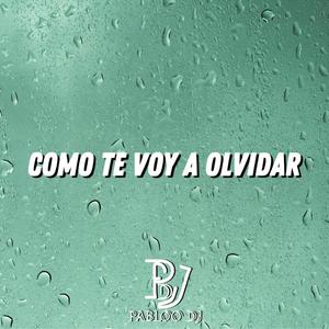 COMO TE VOY A OLVIDAR (guaracha)