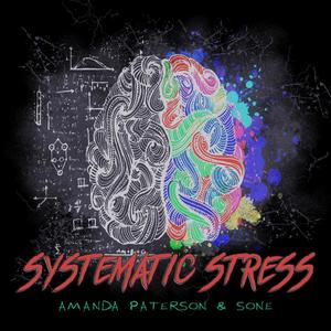 Systematic Stress