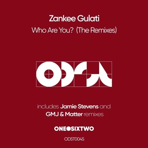 Who Are You (Jamie Stevens Remix)