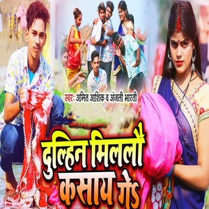 Dulhin Milal Kasai Go