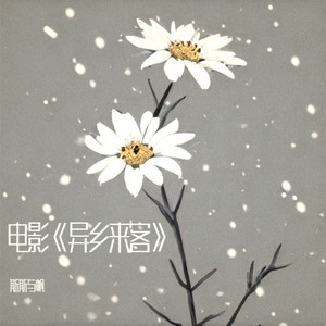 小白花封面