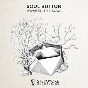 Awaken the Soul (Original Mix)