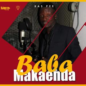 Baba Makaenda Album