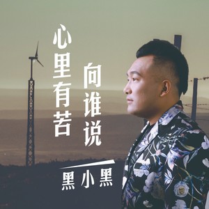 心里有苦向谁说 (DJ默涵)