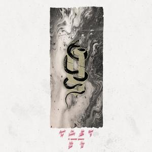 I Wish Things Were Different (feat. Shane Told) (Acoustic)