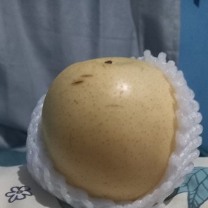 Janji aku mau datang