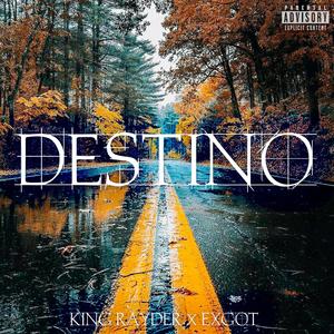 DESTINO / Why So Serious? (feat. ExGot) (Explicit)