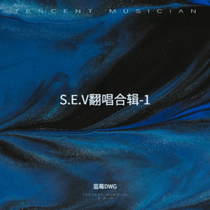 S.E.V翻唱合辑-1