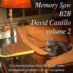 Memory Saw B2B David Castillo volume 2