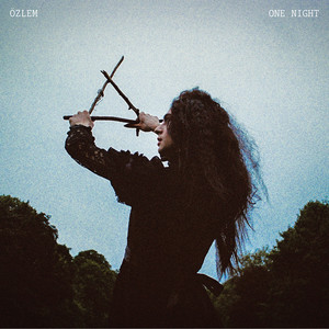 One Night (Explicit)