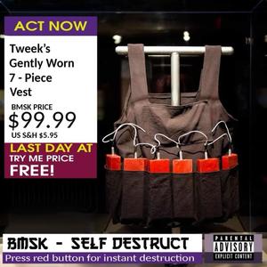 Self Destruct (Explicit)