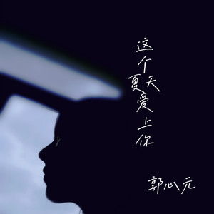 这个夏天爱上你