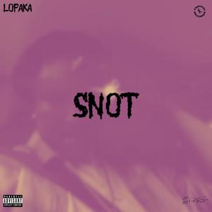 Snot (feat. Lopaka) [Explicit]