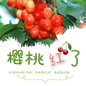 樱桃红了（英佳铭演唱）