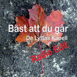 Bäst Att Du Går (Radio Edit)