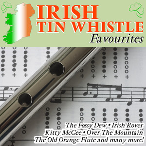 Irish Tin Whistle Favourites