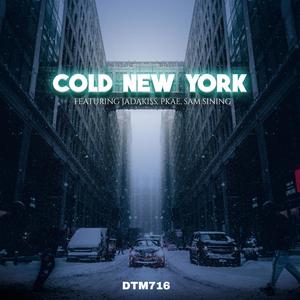 Cold New York (feat. Jadakiss,Pkae & Sam Sining) [Explicit]