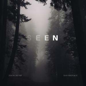 Seen (feat. Day Erenace)