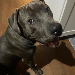 Frustrated (Explicit)