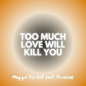 Too Much Love Will Kill You (feat. Pimazzoli)