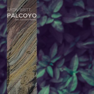 Palcoyo (Ben Junction Original Remix)