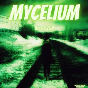 Mycelium