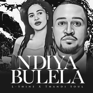 Ndiyabulela (feat. Thandi Soul)
