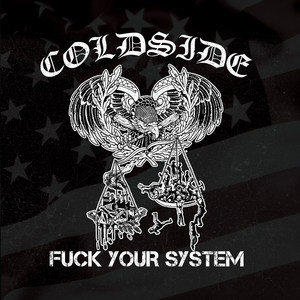 **** Your System (Explicit)