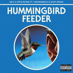 Hummingbird Feeder (Explicit)