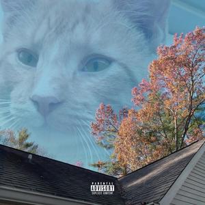 Surrounded by Strangers