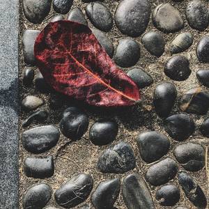 12BWizU(Prod. by Jay D)