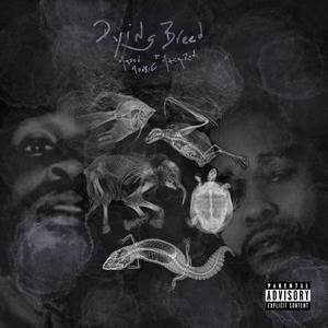 Gangsta(feat. LiqqoTooGreat) (Explicit)