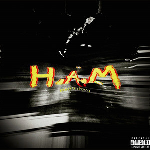 HAM (Explicit)