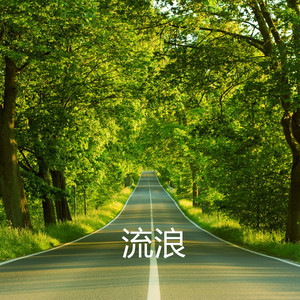 梦中月封面