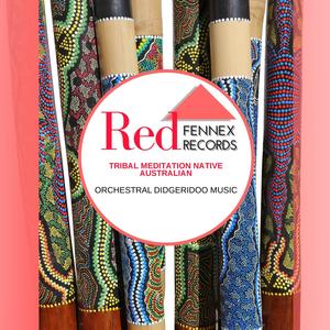 The Tribe Of Orchestral Didgeridoo (Original Mix)