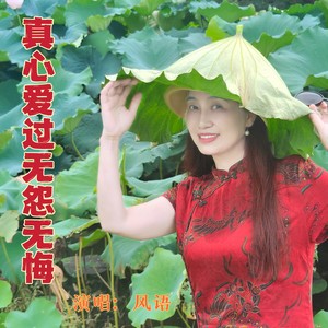 真心爱过无怨无悔封面
