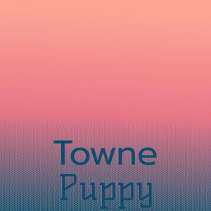 Towne Puppy