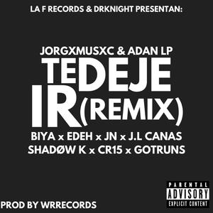 Te Deje Ir (feat. JORGXMUSXC, Biya, Edeh, JN, J.L Canas, Shadow K, CR15 & gotruns) [Remix] [Explicit]