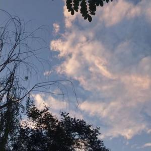 那一天，你来了