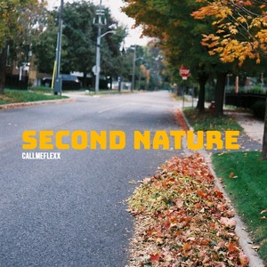 Second Nature