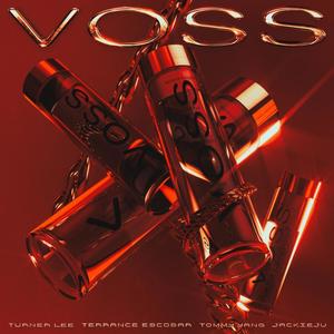 VOSS