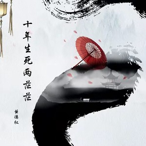 十年生死两茫茫