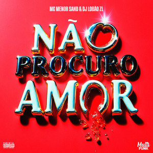 NÃO PROCURO AMOR (Explicit)