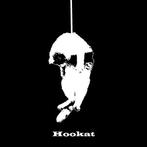 Hookat