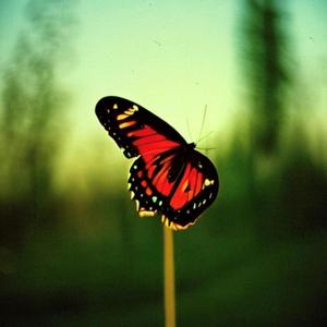 Break Down (Explicit)