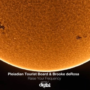 Solar Flared