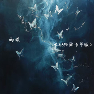 雨蝶 (R&B微醺卡带版)封面