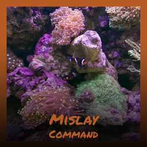 Mislay Command